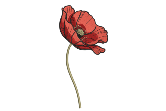 Elegant Red Poppy – Single Stem