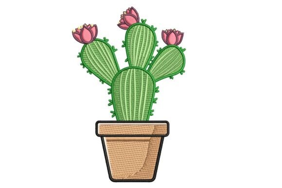 Potted Prickly Pear Cactus