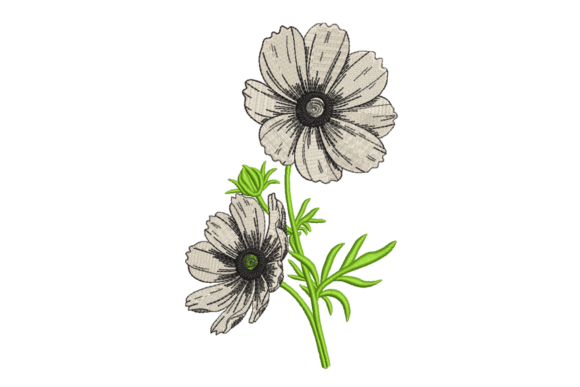 Wildflower Sketch Duo – Modern Floral